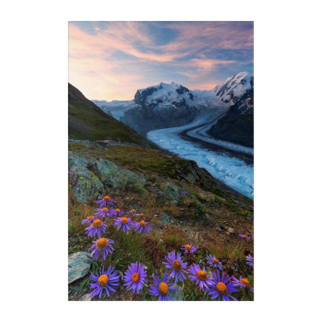 Monte Rosa Glacier | Switzerland Acrylic Print (Front)