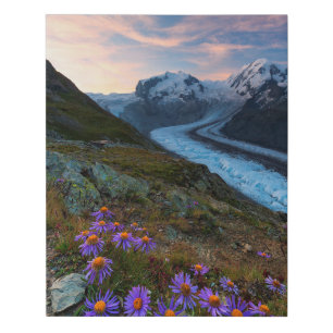 Monte Rosa Glacier   Switzerland Faux Canvas Print