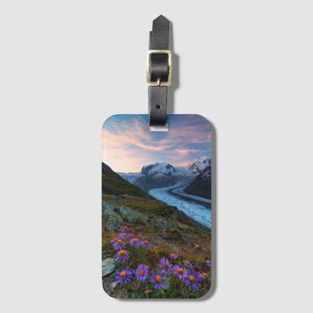 Monte Rosa Glacier | Switzerland Luggage Tag (Front Vertical)