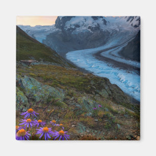 Monte Rosa Glacier Switzerland Magnet