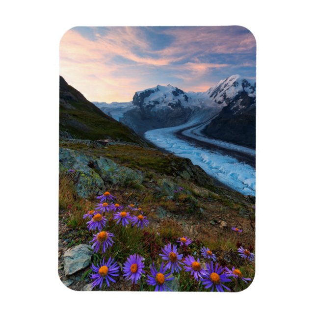 Monte Rosa Glacier | Switzerland Magnet (Vertical)