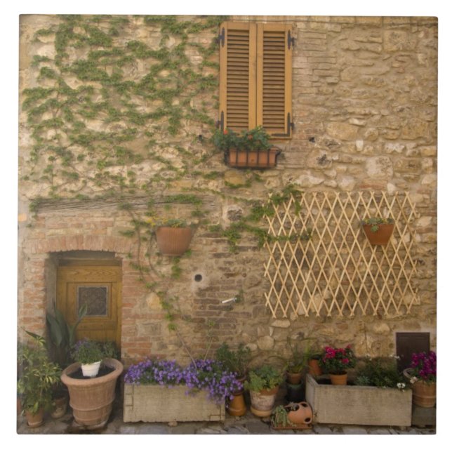 Montefollonico, Val d'Orcia, Siena province, Tile (Front)