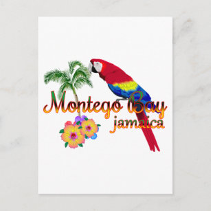 Montego Bay Jamaica Tropical Parrot Postcard
