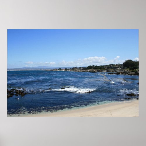 Monterey Bay Beach  Seagull Photo Poster