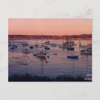 Monterey Bay California 1985 Postcard