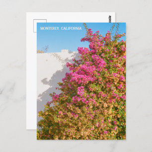 Monterey Bay California Film Photography Wharf Postcard