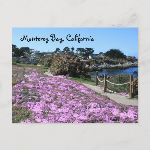Monterey Bay California Postcard