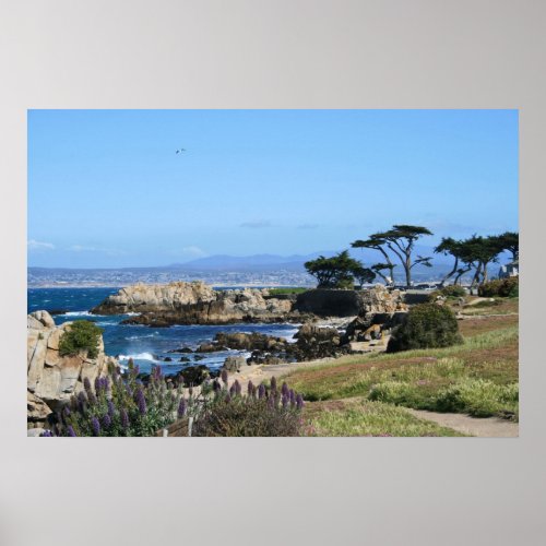 Monterey Bay Coastline Spring Photo Poster