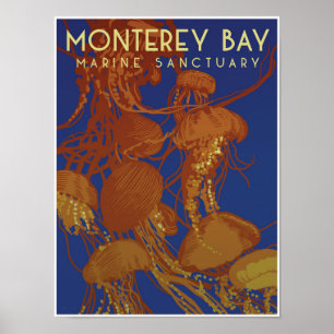 Monterey Bay Marine Sanctuary; jellyfish Poster