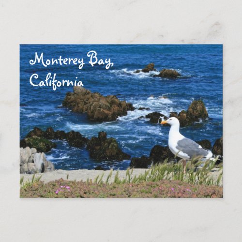 Monterey Bay Postcard