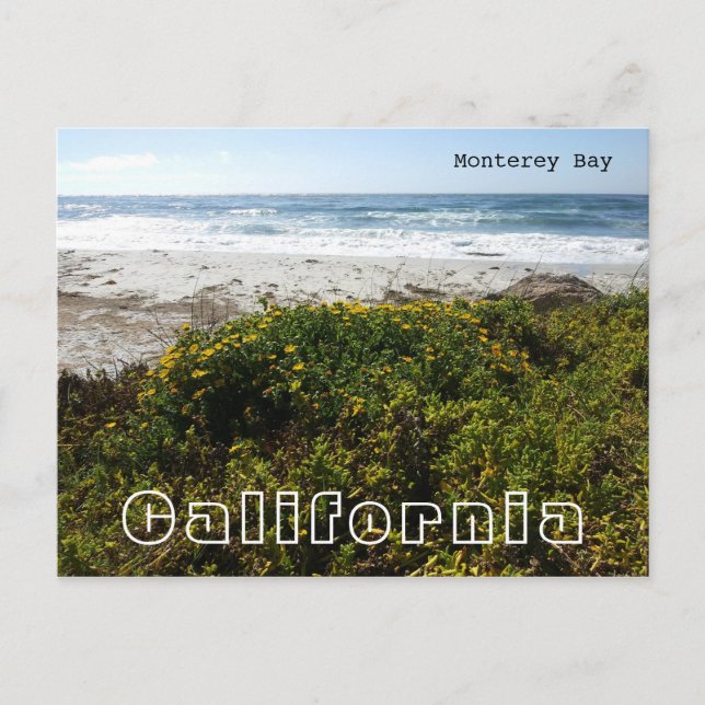 Monterey Bay Postcard (Front)