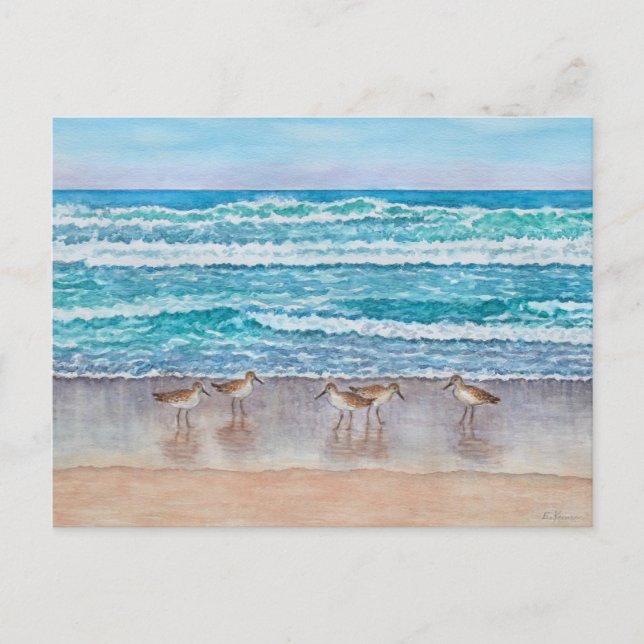 Monterey Bay Sandpipers Postcard (Front)