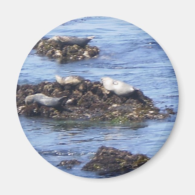 Monterey, CA Magnet (Front)