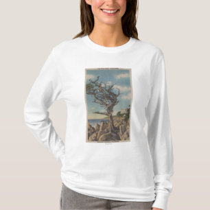 Monterey, CA - Old Witch Tree on 17 Mile T-Shirt