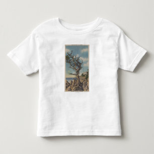 Monterey, CA - Old Witch Tree on 17 Mile Toddler T-shirt