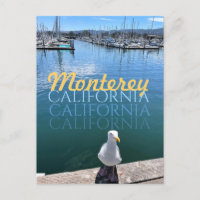 Monterey California Postcard Seagull and Sailboats