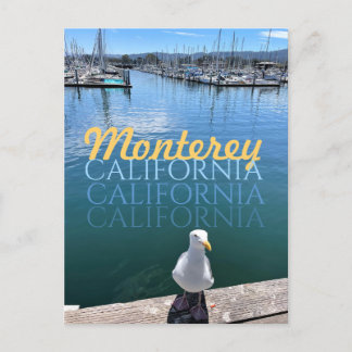 Monterey California Postcard Seagull and Sailboats
