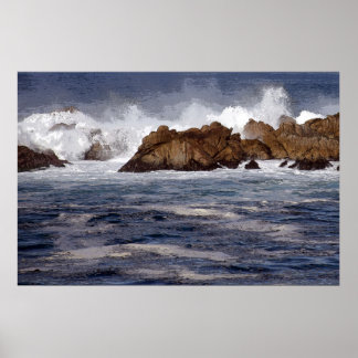 Monterey Coast Poster
