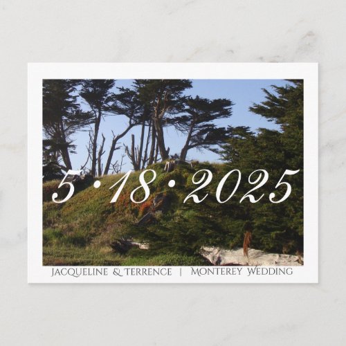 Monterey Pines California Save the Date Announcement Postcard