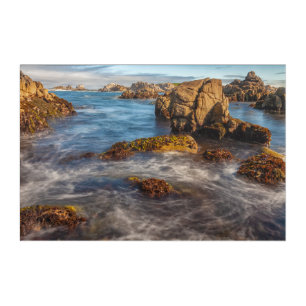 Monterey Rocky Shoreline Acrylic Print