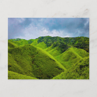 Monterosso Cinque green hill Postcard