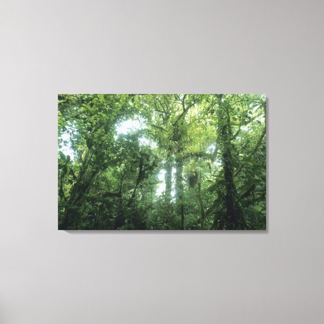 Monteverde Cloud Forest, Costa Rica. Canvas Print (Front)