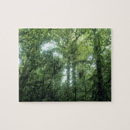 Monteverde Cloud Forest Costa Rica Jigsaw Puzzle