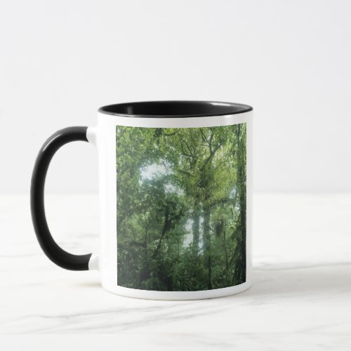 Monteverde Cloud Forest Costa Rica Mug