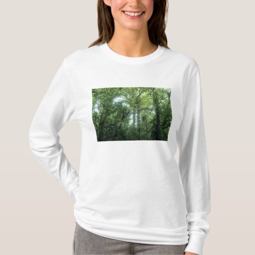 Monteverde Cloud Forest Costa Rica T_Shirt