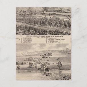 Montevideo, Granite Falls, , Minnesota Postcard