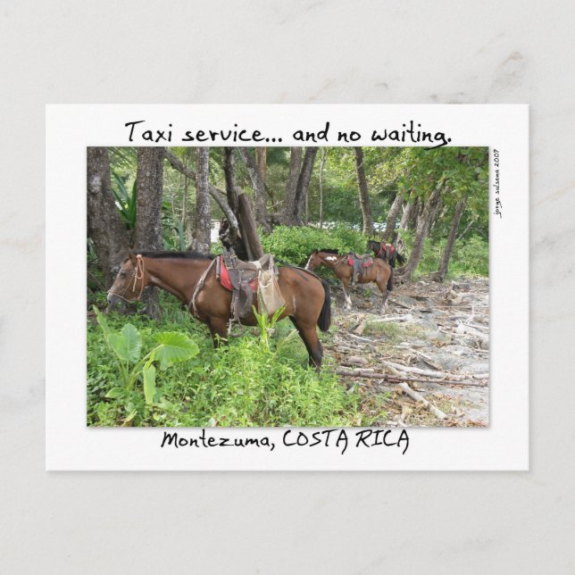 Montezuma, Costa Rica Postcard (Front)