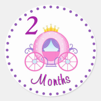 Monthly Baby Sticker Custom Personalized