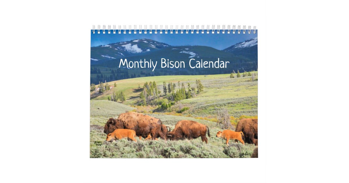 Monthly Bison Calendar National Parks Edition Zazzle