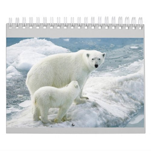 Monthly Calendar polar bear