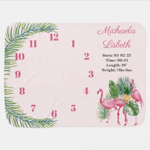 Monthly  Milestone Flamingos Tropical  Girls  Baby Blanket