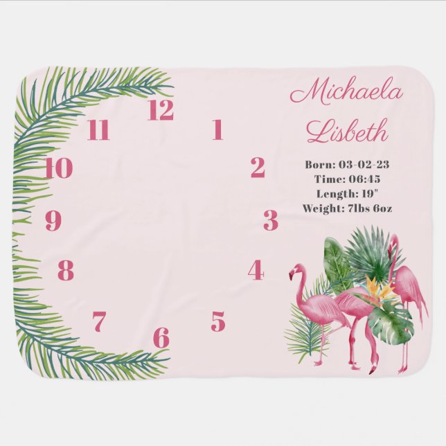 Monthly  Milestone Flamingos Tropical  Girls  Baby Blanket (Horizontal)