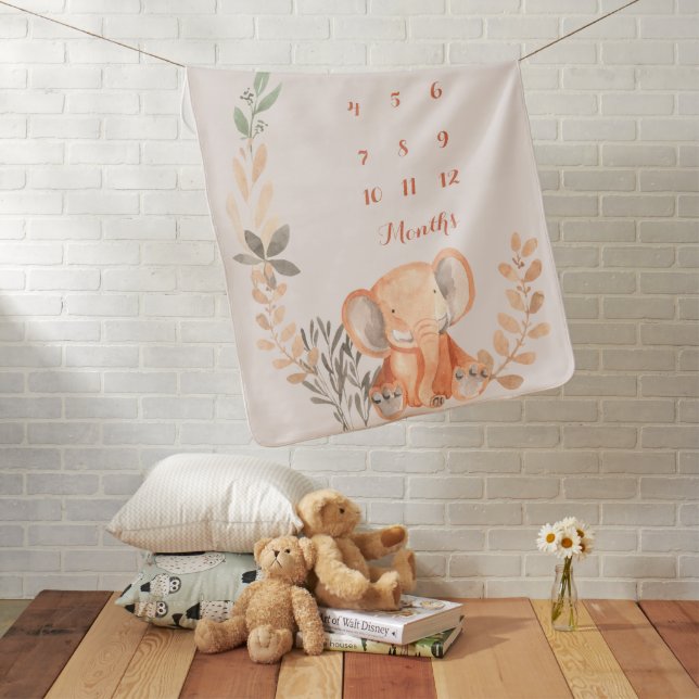 Monthly Milestone Newborn Baby Blanket (In Situ)