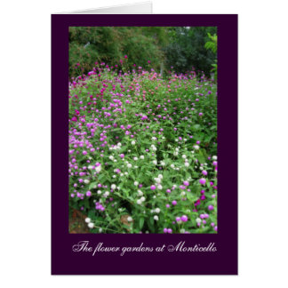 Monticello Flower Gardens Cards