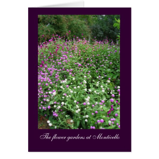 Monticello Flower Gardens Cards (Front)