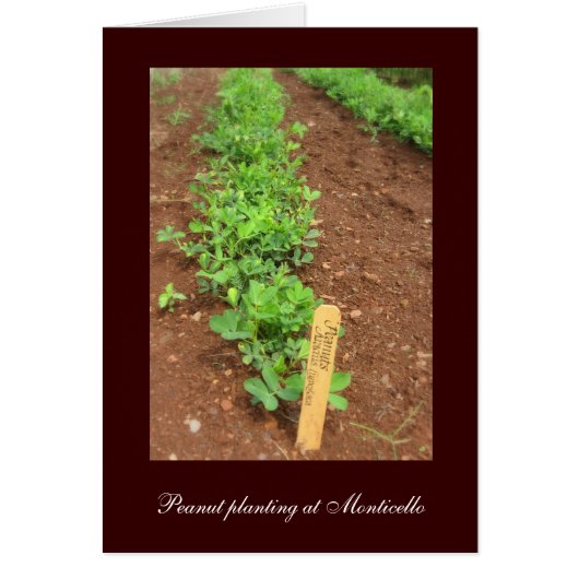 Monticello's Vegetable Gardens Cards (Front)