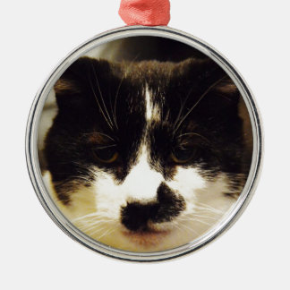 Black And White Cat Christmas Ornaments & Black And White Cat Ornament ...