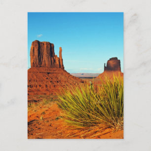 Monument Valley 11 Postcard
