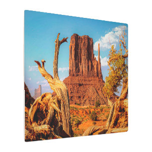 Monument Valley Arizona Southwestern Metal Art