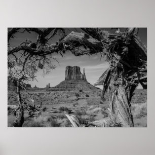 Monument Valley Black and White Poster