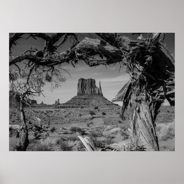 Monument Valley Black and White Poster (Front)