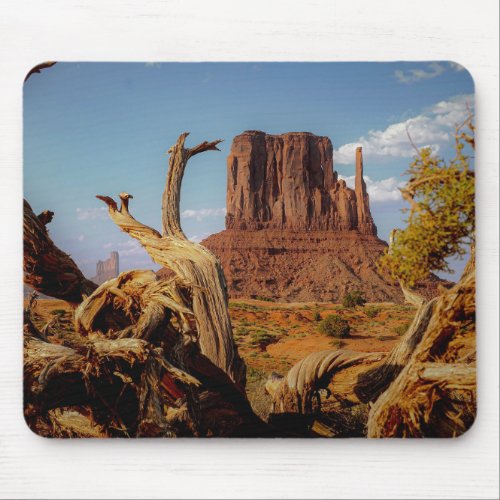 Monument Valley Southwest Mittens Mousepad