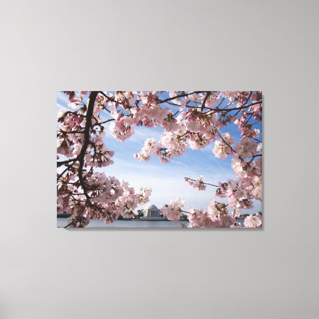 Monuments | Jefferson Memorial Cherry Blossoms Canvas Print (Front)