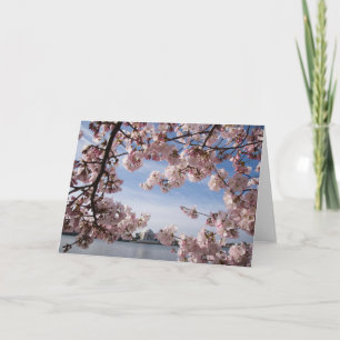 Monuments   Jefferson Memorial Cherry Blossoms Card