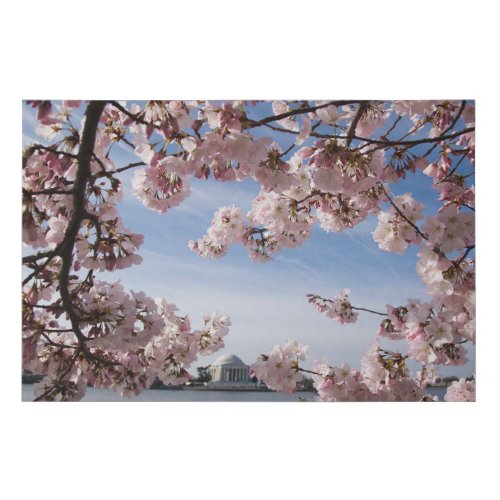 Monuments  Jefferson Memorial Cherry Blossoms Faux Canvas Print