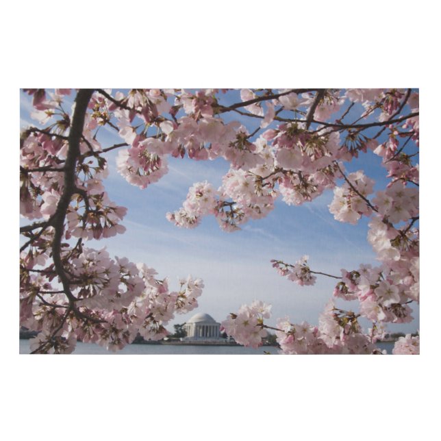 Monuments | Jefferson Memorial Cherry Blossoms Faux Canvas Print (Front)